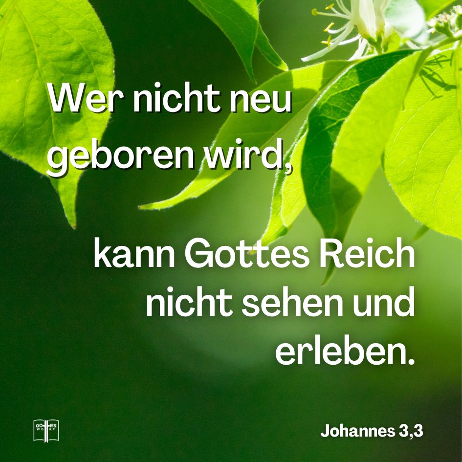 Wenn jemand nicht von Neuem geboren wird, so kann er das Reich Gottes nicht sehen! Johannes 3,3 Wenn jemand nicht von Neuem geboren wird, so kann er das Reich Gottes nicht sehen! Johannes 3,3