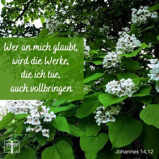 Wer an mich glaubt, wird die Werke, die ich tue, auch vollbringen, ja er wird noch größere als diese vollbringen, Johannes 14,12. Wer an mich glaubt, wird die Werke, die ich tue, auch vollbringen, ja er wird noch größere als diese vollbringen, Johannes 14,12.