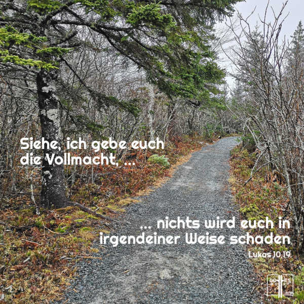 Siehe, ich gebe euch die Vollmacht,... und nichts wird euch in irgendeiner Weise schaden 
Lukas 10,19
Lese: https://www.gottes-wort.com/heilungsprozess.html
#neugeboren #gotteswort #bibel