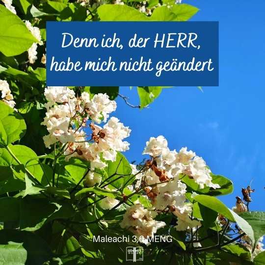 Denn ich, der HERR, habe mich nicht geändert, ... Maleachi 3,6 Denn ich, der HERR, habe mich nicht geändert, ... Maleachi 3,6