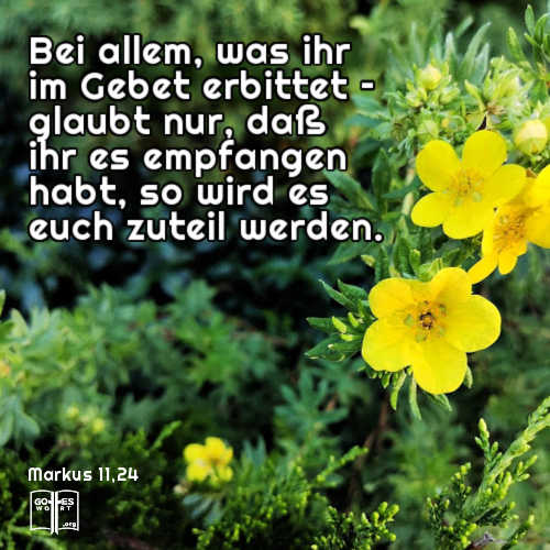 Darum sage ich euch: Bei allem, was ihr im Gebet erbittet – glaubt nur, daß ihr es (tatsächlich) empfangen habt, so wird es euch zuteil werden, Mk 11,23-24