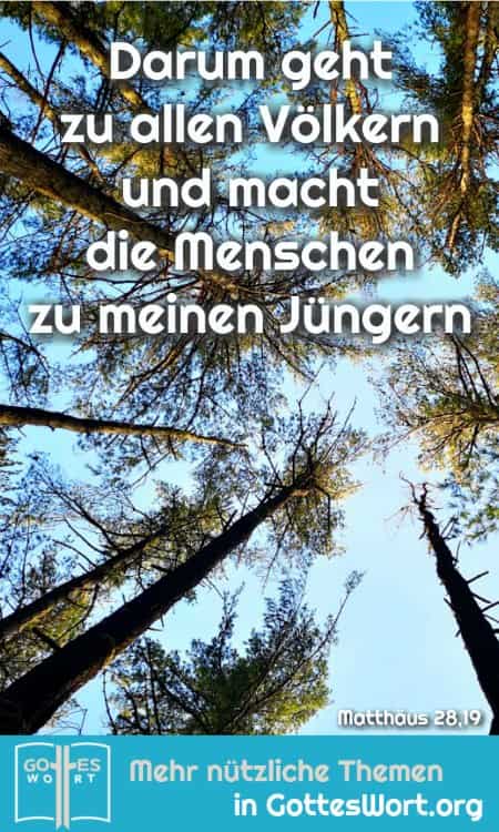 ✚ Gottes Wort bietet jedem DIE Lösung für alle Fragen und Schwierigkeiten ... Darum GEHT! Mat 28,19! (https://www.gottes-wort.com/) #gotteswort #botschaft #jesuschristus