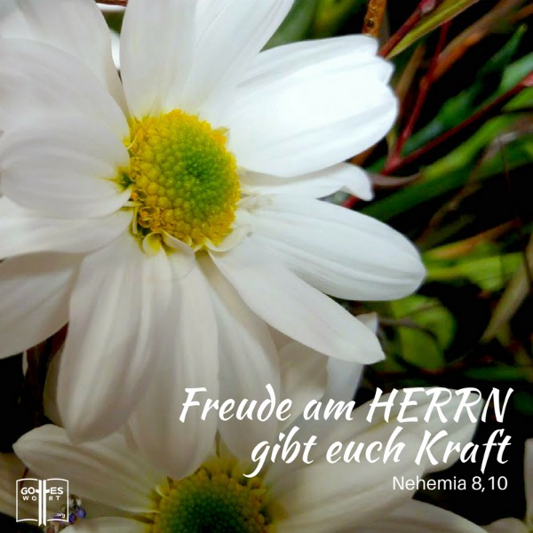 Freude am Herrn gibt euch Kraft!  In der Bibel: Nehemia 8,10