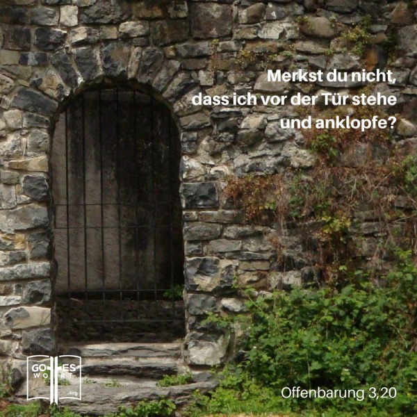 ✚ Offenbarung 3,20 ... Jesus klopft an ...
Weiterlesen: https://www.gottes-wort.com/in-christus.html
#offenbarung #offenetuer ✚ Offenbarung 3,20 ... Jesus klopft an ...
Weiterlesen: https://www.gottes-wort.com/in-christus.html
#offenbarung #offenetuer