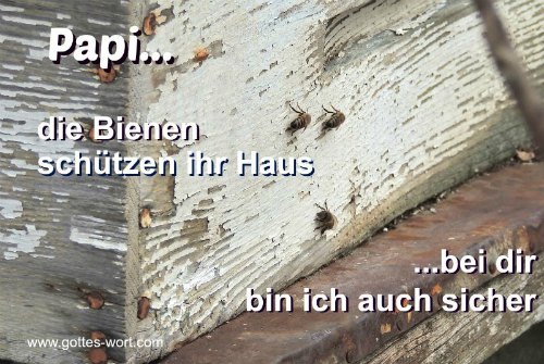 Papi … die Bienen schützen ihr Haus … bei dir bin ich auch sicher.