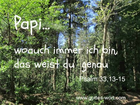 Papi … woauch immer ich bin, das weist du genau. Psalm 33,13-15