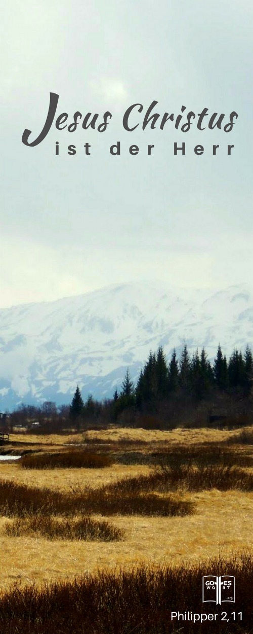 ✚ Nichts hat sich verändert - der HERR ist derselbe, gestern, heute und in der Zukunft. Für alles was du im Leben brauchst ist er die Quelle 
www.gottes-wort.com/namen.html
#gotteswort #namengottes