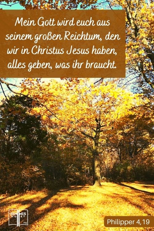 Und mein Gott wird euch aus seinem großen Reichtum, den wir in Christus Jesus haben, alles geben, was ihr braucht. Philipper 4,19