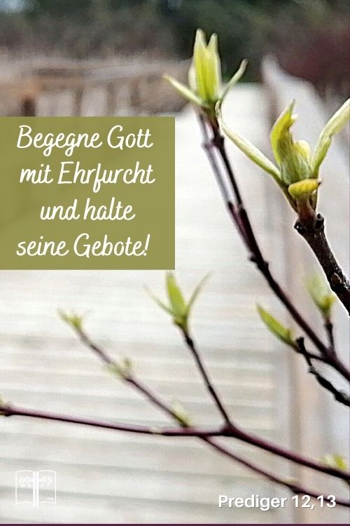 Hast du das Gefühl, dass dein Leben irgendwie eingeschränkt ist? Du allein bist für dich verantwortlich. Nun stellt sich die Frage, was sind mögliche Hemmungen und was kann dagegen getan werden?