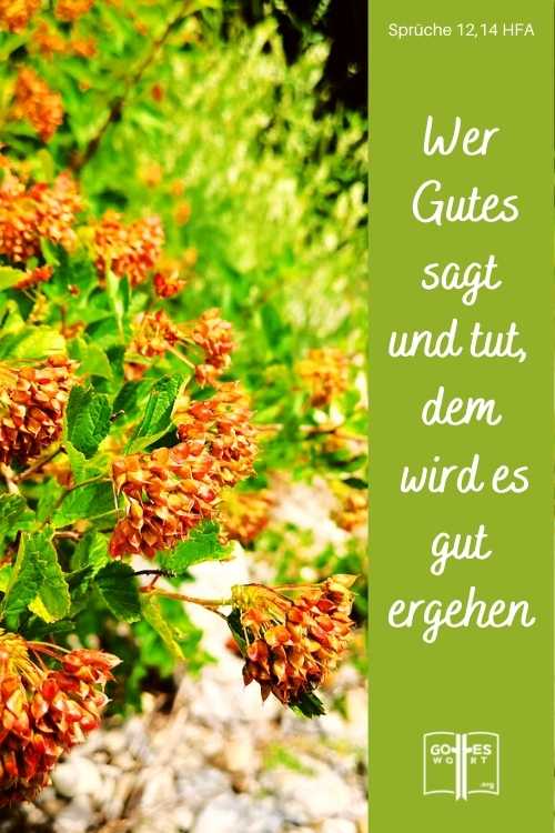 Ehen und Familien bestehen nicht aus Einzelgängern. Liebe und Unterstützung sind einem Licht ähnlich als Bausteine eines gut gegründeten Hauses. 
Sprüche 12,14 HFA