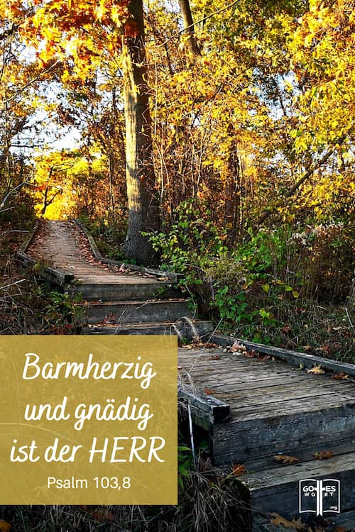 Barmherzig und gnädig ist der HERR, Psalm 103,8