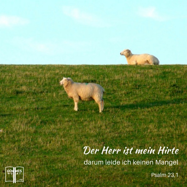 Zehn Namen Gottes sind offenbart im Psalm 23. Die Antwort: https://www.gottes-wort.com/namen-gottes.html