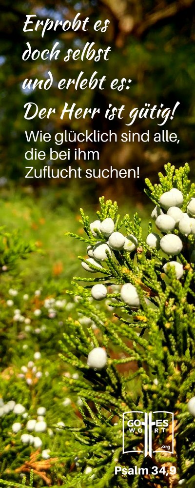 Psalm 34,9. Die Errettung verlieren? Ist das möglich? Was sagt den die Bibel dazu?
https://www.gottes-wort.com/rettung-verlieren.html
#errettung #gotteswort