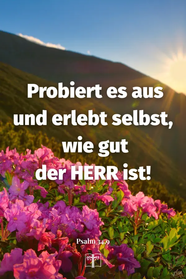 Blühende Alpenrosen im Sonnenaufgang mit Bibelvers: 'Probiert es aus und erlebt selbst, wie gut der HERR ist! – Psalm 34,9'
