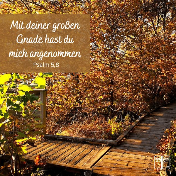 Mit deiner grossen Gnade hast du mich angenommen, Psalm 5,8