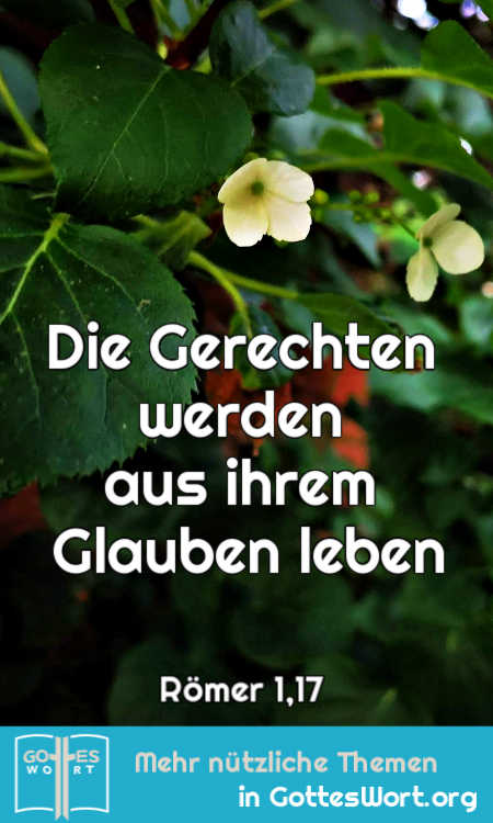 denn es wird darin geoffenbart die Gerechtigkeit Gottes aus Glauben zum Glauben,[5] wie geschrieben steht: »Der Gerechte wird aus Glauben leben«,
Römer 1,17