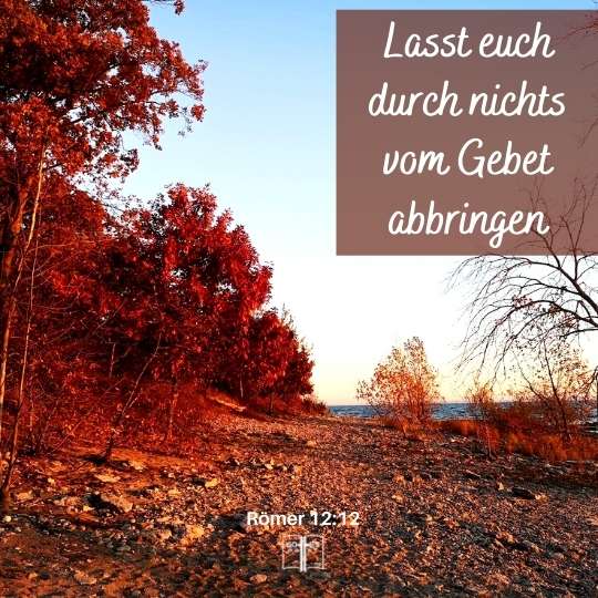 Und lasst euch durch nichts vom Gebet abbringen, Römer 12,12
