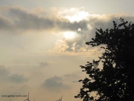 Abendsonne - Ebüll, Schleswig