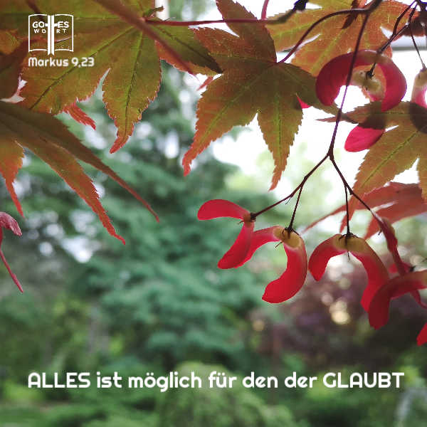 Alles ist möglich für den der glaubt, Mk 9,23. Nur deine Entschlossenheit es zu tun wird verlangt.
#unsicherheit #gotteswort #bibel