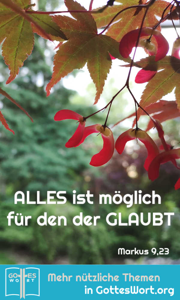 Alles ist möglich für den der glaubt, Mk 9,23. Nur deine Entschlossenheit es zu tun wird verlangt.
#unsicherheit #gotteswort #bibel