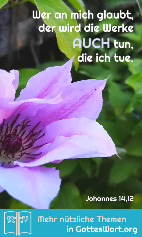 Jesus weissagte: Wer an mich glaubt, der wird die Werke auch tun, die ich tue, Joh 14,12.
#unsicherheit #glaube #gotteswort #bibel