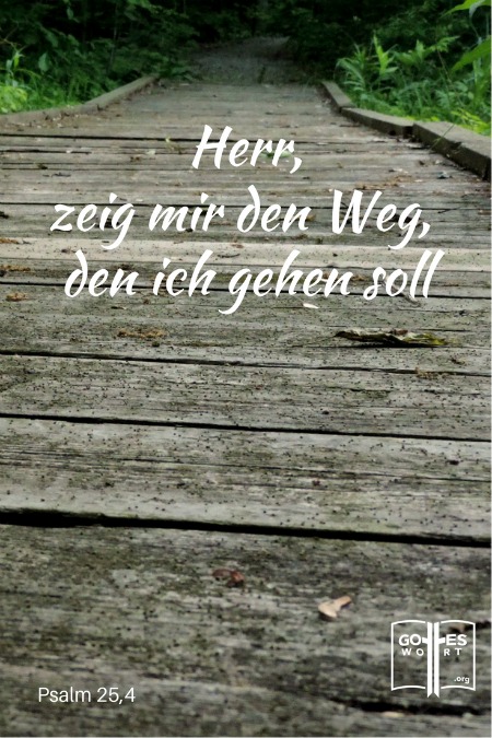 ✚ Der Weg, die Wahrheit, und das Leben:
Herr, zeig mir den Weg den ich gehen soll. Psalm 25,4 
Lese: https://www.gottes-wort.com/weg.html
#weg #wahrheit #leben