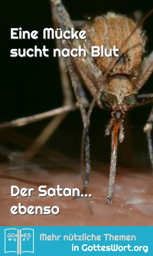Der Satan versucht zu verderben, sucht so lange bis er eine Türspalte findet und schleicht hinein. 
https://www.gottes-wort.com/angst-vor-der-angst.html
#gotteswort #jesuschristus #angst