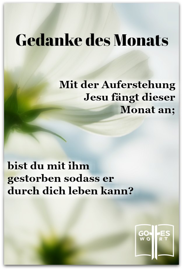 Bist du neu geboren? Ist Christus dein Herr? Was ist 'neu geboren?' 
lese www.gottes-wort.com/gefuehle.html
#auferstehung #neugeburt #ewigesleben #persönlicheeinladung