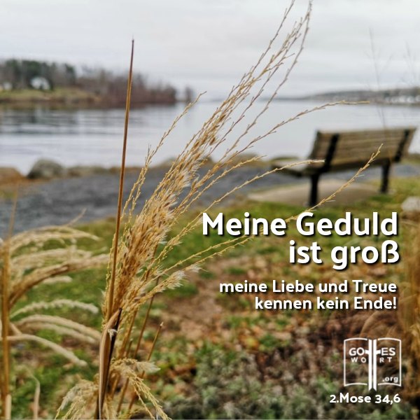 ✚ Meine Geduld ist groß, meine Liebe und Treue kennen kein Ende! 2.Mose 34,6
https://www.gottes-wort.com/einmalig.html
#einmalig #liebe #gotteswort #treue