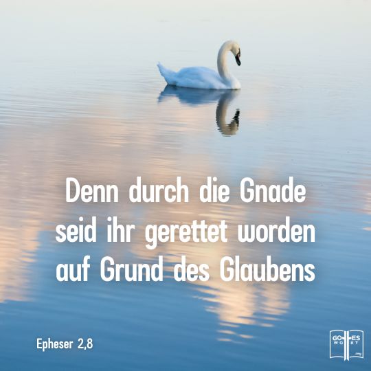Denn durch die Gnade seid ihr gerettet worden auf Grund des Glaubens, Epheser 2,8 - Schwan spiegelt sich im Wasser