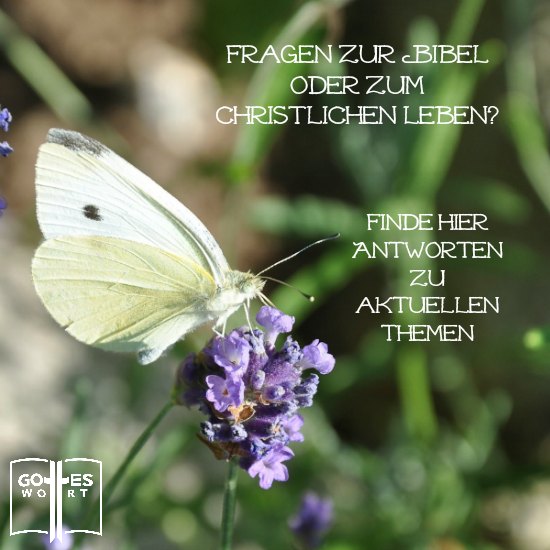 Fragen zum Thema Bibel, christliches Leben? Finde hier die Antworten oder stelle uns deine Frage. #fragen #antworten #jesus lese: www.gottes-wort.com/fragen-und-antworten.html