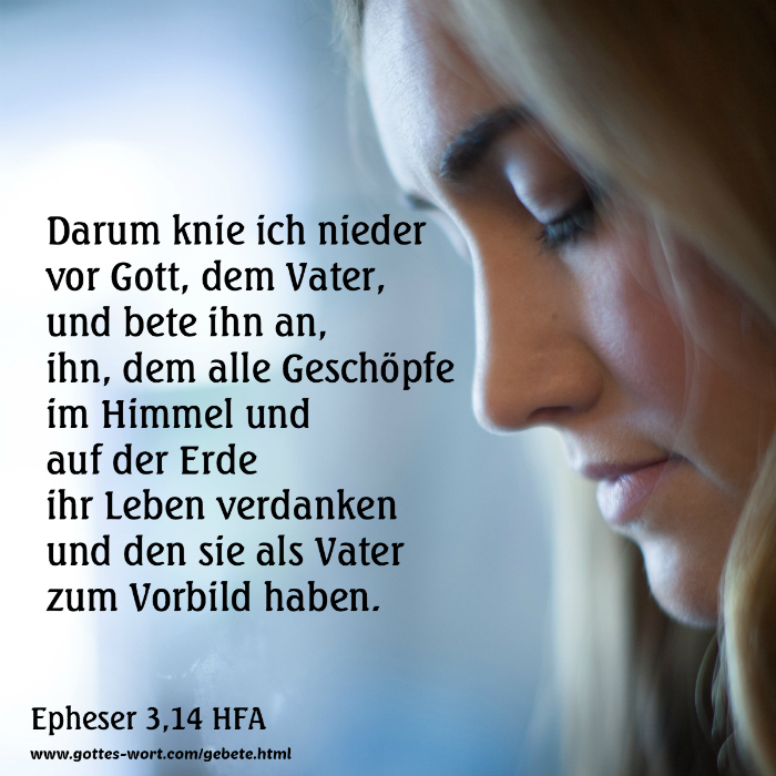 Artikel A-D  Gottes Wort