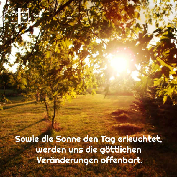 Gewohnheiten Sonne