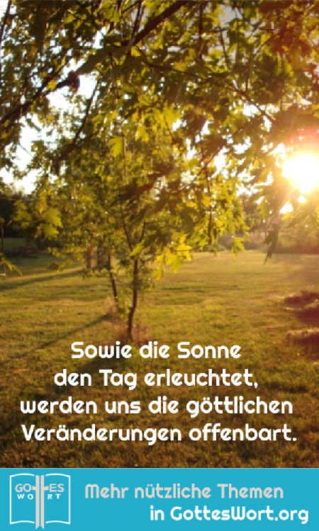 ✚ Sowie die Sonne den Tag erleuchtet, werden uns die göttlichen Veränderungen offenbart.
https://www.gottes-wort.com/gewohnheiten.html
#gotteswort #gewhonheiten #bibel