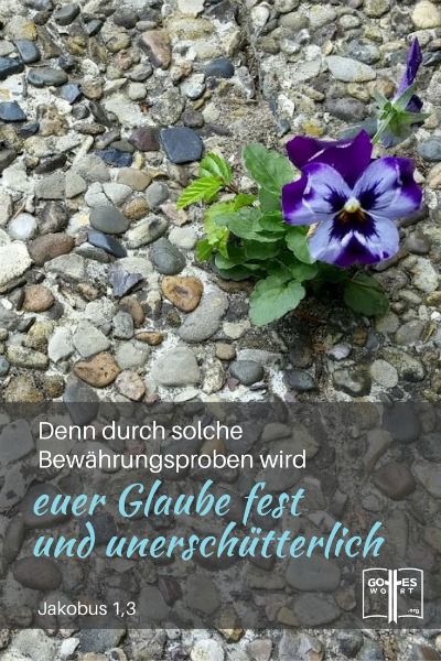 Das größte Hindernis im christlichen Leben ist nicht Gottes unfehlbares Wort zu vertrauen. Was soll man tun?
Lese: https://www.gottes-wort.com/glauben.html