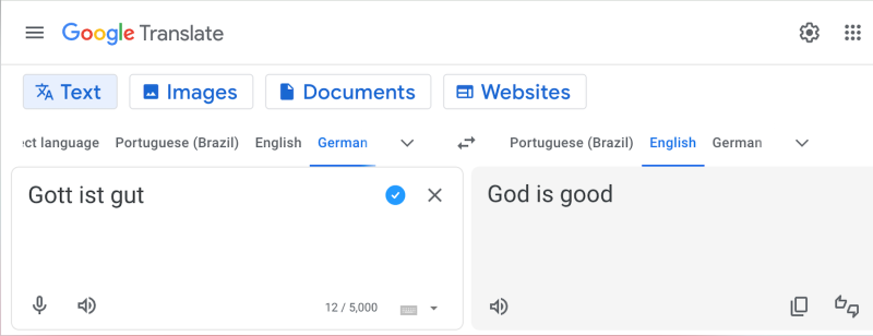 Google Translate Function
