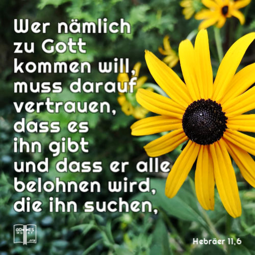 Wer nämlich zu Gott kommen will, muss darauf vertrauen, dass es ihn gibt und dass er alle belohnen wird, die ihn suchen, Heb 11,6