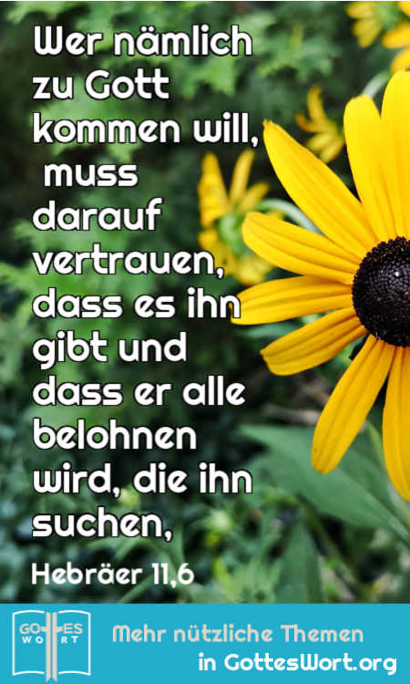 Wer nämlich zu Gott kommen will, muss darauf vertrauen, dass es ihn gibt und dass er alle belohnen wird, die ihn suchen, Heb 11,6