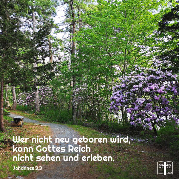 Wer nicht neu geboren wird, kann Gottes Reich nicht sehen und erleben.
Johannes 3,3
Lese: https://www.gottes-wort.com/heilungsprozess.html
#neugeboren #gotteswort #bibel