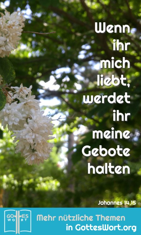 ✚  Die Botschaft: Wenn ihr mich liebt, werdet ihr meine Gebote halten. Johannes 14,15
https://www.gottes-wort.com/botschaft.html
#gotteswort #botschaft #leiben #gebote