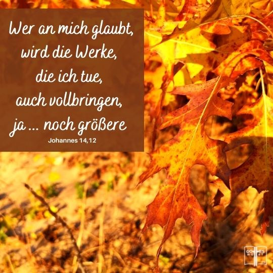 Wer an mich glaubt, wird die Werke, die ich tue, auch vollbringen, ja...noch groessere, Johannes 14,12