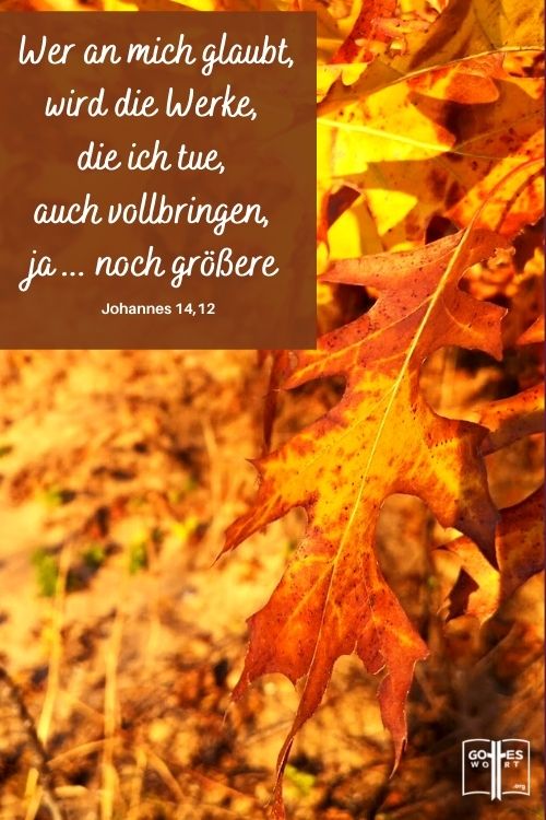 Wer an mich glaubt, wird die Werke, die ich tue, auch vollbringen, ja...noch groessere, Johannes 14,12