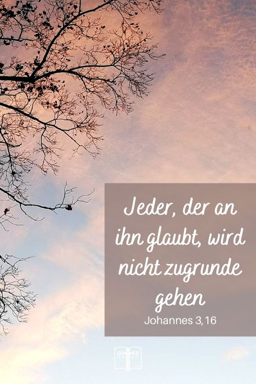 Jeder, der an ihn glaubt, wird nicht zugrunde gehen, sondern das ewige Leben haben.... Johannes 3,16