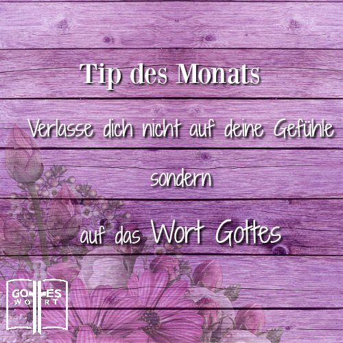 Alles, was in der Schrift steht, ist von Gottes Geist eingegeben...Sie unterrichtet in der Wahrheit...bringt auf den richtigen Weg... #wahrheit 2.Tim. 3,16 lese www.gottes-wort.com/artikel-bibel.html