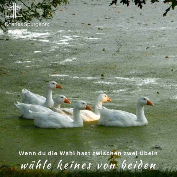 Ja ... was wählst du? 
Lese hier: https://www.gottes-wort.com/kraft.html
#gotteswort #spurgeon #kraft
