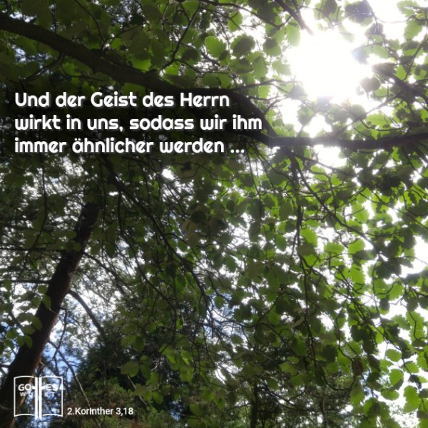 ✚ Und der Geist des Herrn wirkt in uns, sodass wir ihm immer ähnlicher werden ... HALLELUJA!
Lese: https://www.gottes-wort.com/kreuzweg.html
#entscheidung #gotteswort #heute