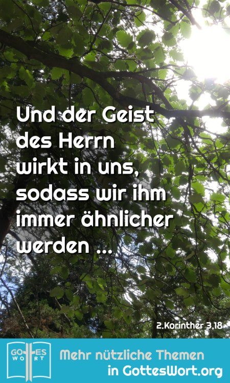 ✚ Und der Geist des Herrn wirkt in uns, sodass wir ihm immer ähnlicher werden ... HALLELUJA!
Lese: https://www.gottes-wort.com/kreuzweg.html
#entscheidung #gotteswort #heute