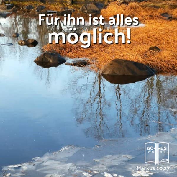 ✚ Für ihn ist alles möglich!
Markus 10,27
Lese: https://www.gottes-wort.com/transzendenz.html
#transzendenz #gotteswort #eigenschaften
