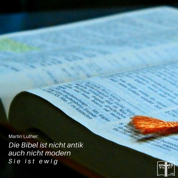 ✚ Die Bibel ist nicht antik, auch nicht modern. Sie ist ewig. ~ Martin Luther. Aber welche Bibel ist die richtige? 
Antwort: https://www.gottes-wort.com/die-bibel.html
#diebibel #bibel #gotteswort