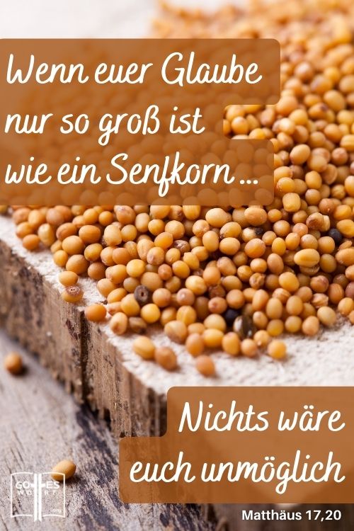 Denn wahrlich ich sage euch: Wenn ihr Glauben wie ein Senfkorn habt und diesem Berge gebietet: ›Rücke von hier weg dorthin!‹, so wird er hinwegrücken, und nichts wird euch unmöglich sein, Mat 11,20